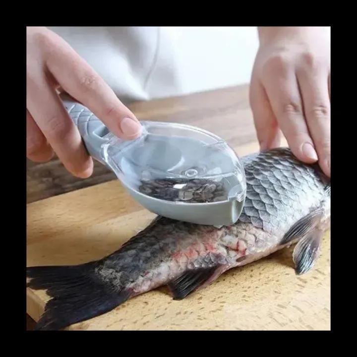 Multicolor Fish Scraper Strainer - 1 Pc for Effortless Kitchen Convenience
