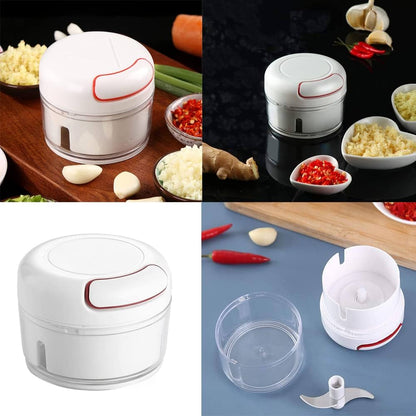2 blade Mini Manual Food Chopper – Garlic, Ginger & Chili Cutter | Portable Vegetable Crusher